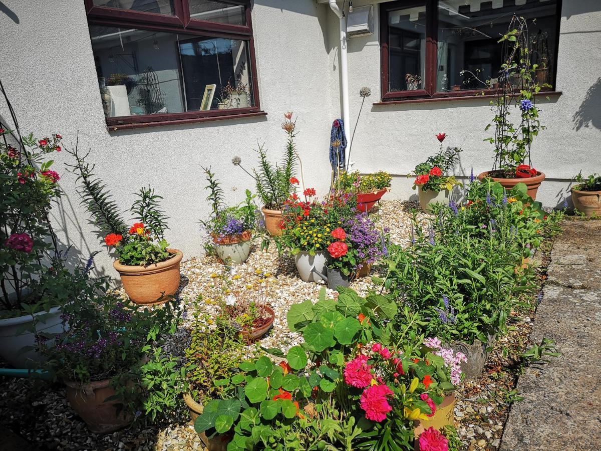 Bed and Breakfast Y Cuddfan Gower Суонси Экстерьер фото